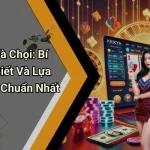 Cách Chọn Gà Chọi: Bí Quyết Nhận Biết Và Lựa Chọn Thần Kê Chuẩn Nhất
